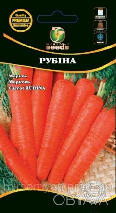 Морковь Рубина Позднеспелый урожайный сорт моркови типа Берликум. Корнеплоды цил. . фото 1