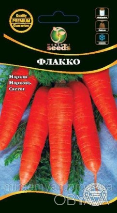 Семена моркови Флако - среднеспелый сорт 120-130 дня. Корнеплоды оранжевого цвет. . фото 1