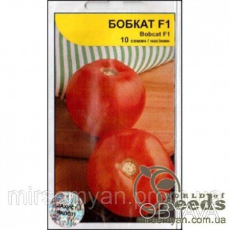 Бобкат F1
Среднеранний детерминантный крупноплодный гибрид томата (60-65 дней от. . фото 1