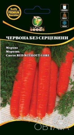 Морковь Красная без сердцевины
Позднеспелый сорт, техническое созревание происхо. . фото 1