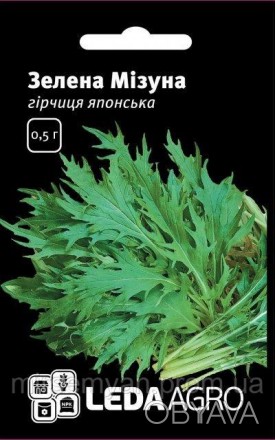 Горчица японская Зеленая Мизуна, однолетнее травянистое растение семейства крест. . фото 1