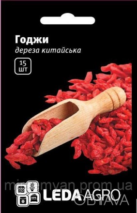 Дереза ​​китайская (Годжи), или тибетский барбарис, это ползучий кустарник семей. . фото 1