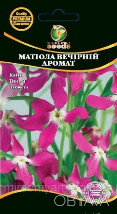 Маттиола Вечерний аромат Однолетнее, холодостойкое, засухоустойчивое, нетребоват. . фото 1