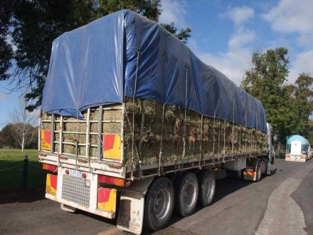 Автотент для грузовиков Камаз, Зил, Газ, для зерна, сена 4х6 м 150 г/м2. Суми. фото 1 Автотент для грузовиков Камаз, Зил, Газ, для зерна, сена 4х6 м 150 г/м2. Суми. фото 1