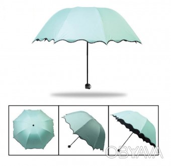 Предалагем вашему вниманию красивые стильные зонтики. Отличный аксессуар от дожд. . фото 1