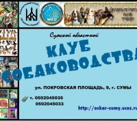 Сумской областной клуб собаководства Кинологического Клуба Украины предлагает дл. . фото 3