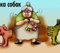 Сумской областной клуб собаководства Кинологического Клуба Украины предлагает дл. . фото 2