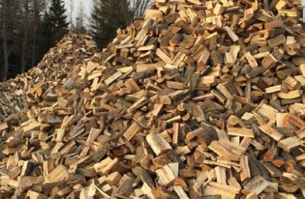 Дрова в Волинська область колоті дрова в Горохові. Луцк. фото 1 Дрова в Волинська область колоті дрова в Горохові. Луцк. фото 1