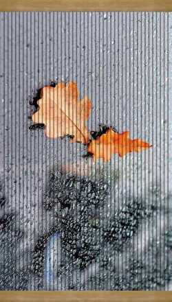 Плёночный обогреватель. Киев. фото 1