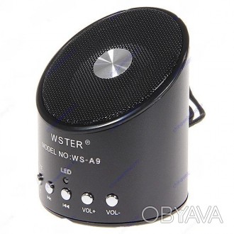 Портативная акустическая система WS-A9 (FM-радио, TF слот, литиевый аккумулятор). . фото 1