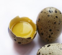 Перепелиные яйца – уникальный по своей питательной ценности продукт, содер. . фото 3