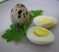 Перепелиные яйца – уникальный по своей питательной ценности продукт, содер. . фото 2