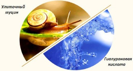 Images Snail — эта сыворотка для лица обладает очень широким спектром дейс. . фото 6
