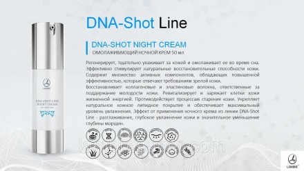 DNA-Shot Night Cream 
Омолаживающий ночной крем для уменьшения глубоких моршин о. . фото 7