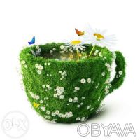 Чай Монастырский. Харьков. фото 1