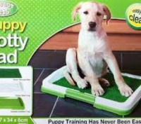 Домашний туалет для животных Potty Pad For Dogs, Поти Пед, туалет для собак. Київ. фото 1 Домашний туалет для животных Potty Pad For Dogs, Поти Пед, туалет для собак. Київ. фото 1