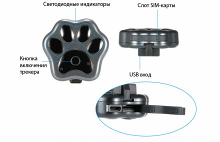 Трекер для собак и кошек RF-V30. Киев. фото 1 Трекер для собак и кошек RF-V30. Киев. фото 1