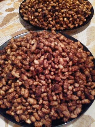 Продам крупные семена чуфы- земляной миндаль или тигровый орех (смотрите мои фот. . фото 7