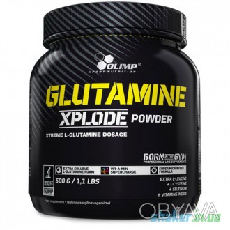 
 
Glutamine Xplode Powder™ - L-глютаминовый комплекс с витаминами в порошке - п. . фото 1