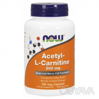 
 
NOW Acetyl-L-Carnitine – биологически активная добавка, для поддержки и восст. . фото 1