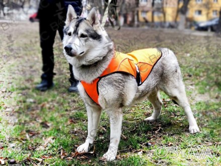 Накидка попона для собак защитная идеально подходит для прогулок в лесу, и даже . . фото 1