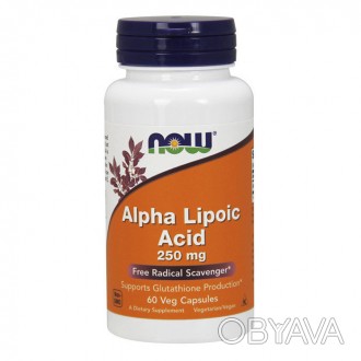 
 
NOW Alpha Lipoic Acid 250 mg производит полную линейку мощных антиоксидантных. . фото 1