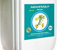 Авангард Р Рапс (20л). Киев. фото 1 Авангард Р Рапс (20л). Киев. фото 1