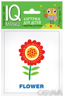 
	
	
	
	
	
	
	
	
	Набор карточек "Растения" знакомит ребёнка со словами, обознач. . фото 1