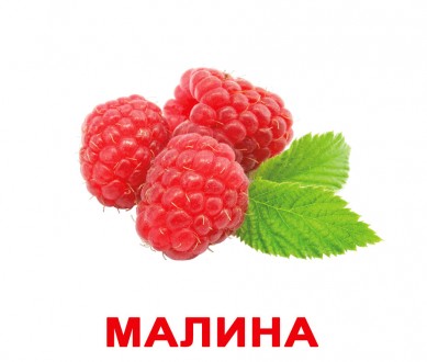 Ягоды. Карточки Домана. Вундеркинд с пелёнок. Київ. фото 1 Ягоды. Карточки Домана. Вундеркинд с пелёнок. Київ. фото 1