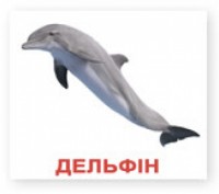 Мешканці водойм. Карточки Домана. Київ. фото 1 Мешканці водойм. Карточки Домана. Київ. фото 1