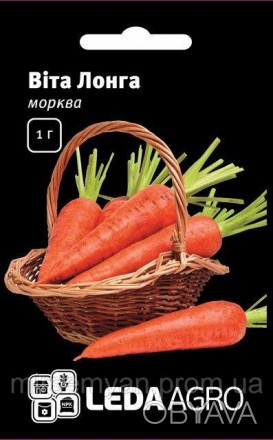 Поздний (145 дней) высокоурожайный сорт моркови флакийского типа для длительного. . фото 1