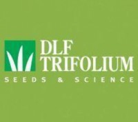 Семена газонной травы DLF Trifolium SUN (Сан) 20 кг мешок
Состав:
40% - Райграс . . фото 4