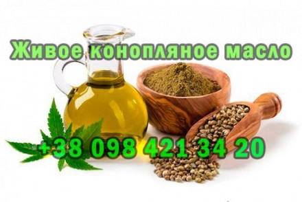 Конопляное масло fresh-organic холодного отжима на деревянном прессе. Київ. фото 1 Конопляное масло fresh-organic холодного отжима на деревянном прессе. Київ. фото 1