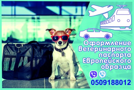 Довідка на титри, ветеринарний паспорт. Харків. фото 1 Довідка на титри, ветеринарний паспорт. Харків. фото 1