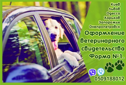 Свідоцтво форма 1, ветеринарний паспорт нового зразка Офіційно. Харків. фото 1 Свідоцтво форма 1, ветеринарний паспорт нового зразка Офіційно. Харків. фото 1