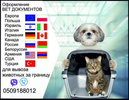 Тест на сказ Довідка собаки виїзд за кордон Офіційно ветпаспорт. Харків. фото 1 Тест на сказ Довідка собаки виїзд за кордон Офіційно ветпаспорт. Харків. фото 1