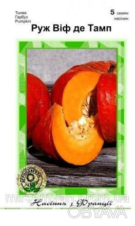 Высокоурожайный среднеспелый (110-115 дней) сорт тыквы. Растение крепкое, формир. . фото 1