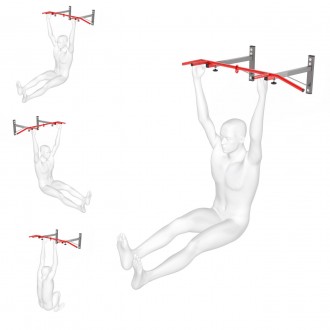 Спортивный настенный турник WCG MC40. Киев. фото 1