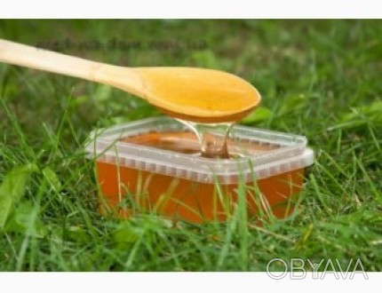 Продам мед бджолиний соняшниковий із власної пасіки

Пакування- скляна банка 3. . фото 1
