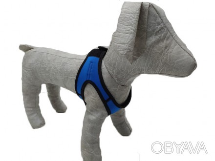 Новая серия шлей для собак «Фитнес» – современный и практичный атрибут собачьей . . фото 1