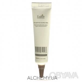 Спа ампула для глубокого очищения кожи головы La'dor Scalp Scaling Spa Ampoule
Г. . фото 1