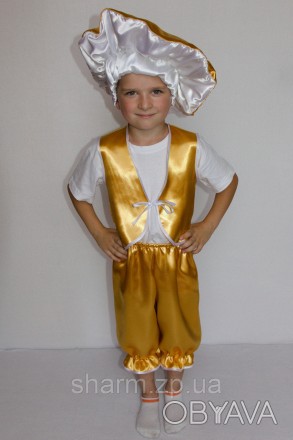 Детский карнавальный костюм для мальчика гриб "ЛИСИЧКА"
Основная ткань: атлас
На. . фото 1