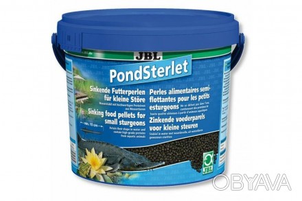 JBL Pond Sterlet(ДжБл Понд Стерлет) гранлированный корм для донной рыбы. Корм дл. . фото 1