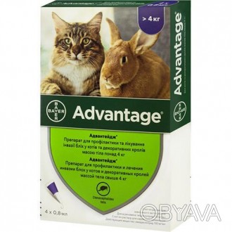  Краплі від бліх Bayer Advantage 80 для котів понад 4 кг, ціна за 1 піпетку Baye. . фото 1