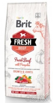 Brit Fresh Beef with Pumpkin Puppy - полнорационный сухой корм со свежей говядин. . фото 1