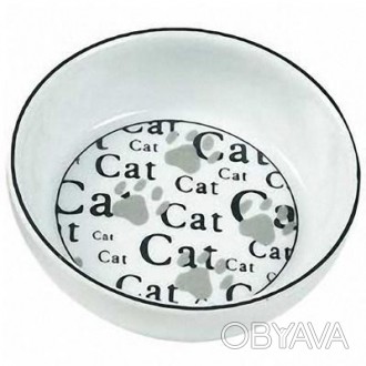 Вероятнее всего вашему коту безразлично, из какой посуды он ест, лишь бы она был. . фото 1