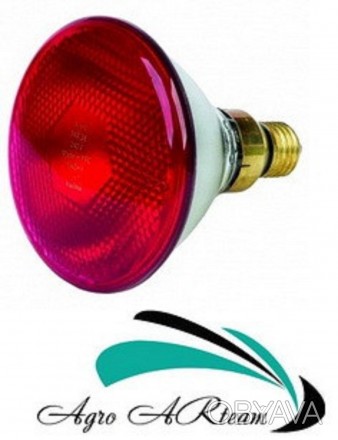 Инфракрасная лампа 150 Вт красная PAR используют на фермерских хозяйствах для ло. . фото 1