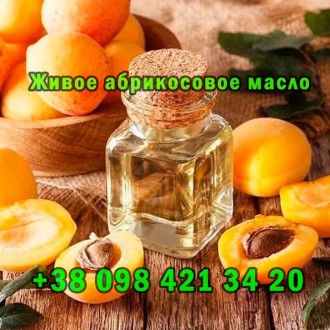 Продaм свeжeвыжaтоe aбрикосовоe мaсло. Київ. фото 1 Продaм свeжeвыжaтоe aбрикосовоe мaсло. Київ. фото 1