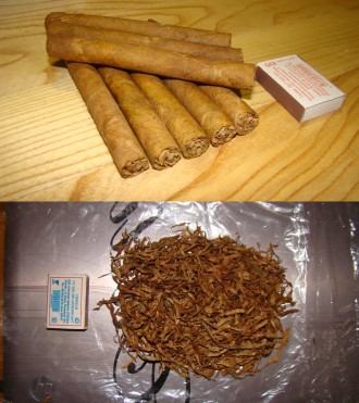 Продаю домашний табак, семена табака сигарно-трубочный, сигаретный.   
табак ку. . фото 5