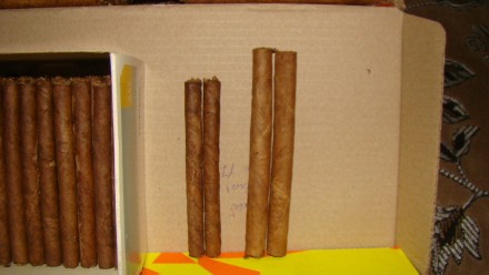 Продаю домашний табак, семена табака сигарно-трубочный, сигаретный.   
табак ку. . фото 11